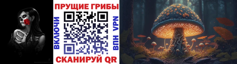 Псилоцибиновые грибы прущие грибы  Купить закладки  Сатка 